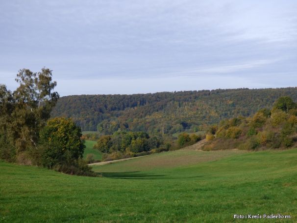 Naturschutzgebiet „Sieben Gründe"