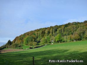 Naturschutzgebiet „Sommerberg-Ortwald“