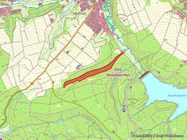 Detailkarte zum Naturschutzgebiet „Waldbachtal“