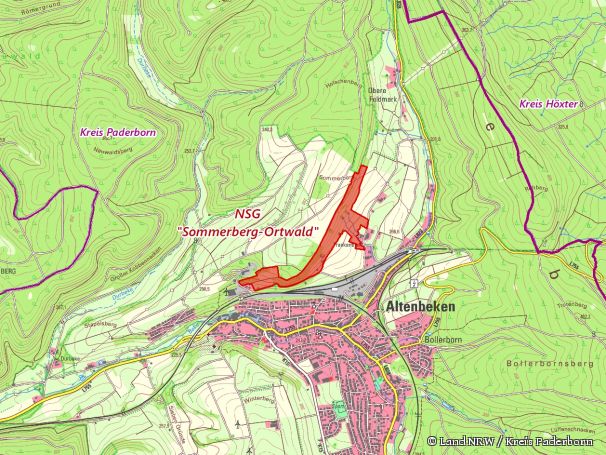 Detailkarte zum Naturschutzgebiet "Sommerberg Ortwald"
