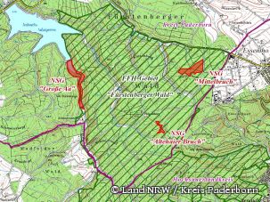 Detailkarte zum FFH-Gebiet Fürstenberger Wald