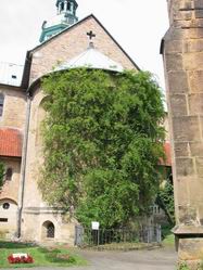 Tagesfahrt nach Hildesheim