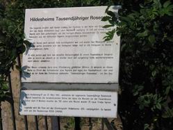 Tagesfahrt nach Hildesheim