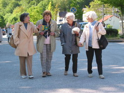 Schleswig Holstein 2006